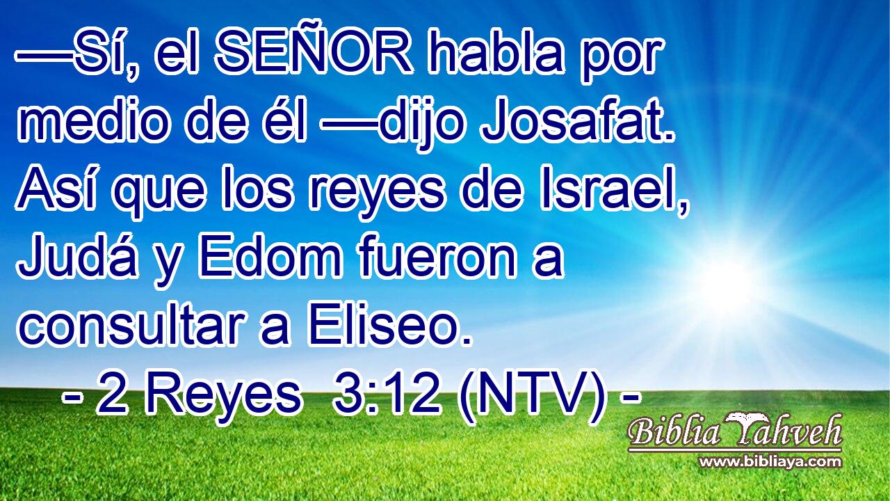 —Sí, el SEÑOR habla por medio de él —dijo Josafat. Así que los reyes de Israel, Judá y Edom fueron a consultar a Eliseo.