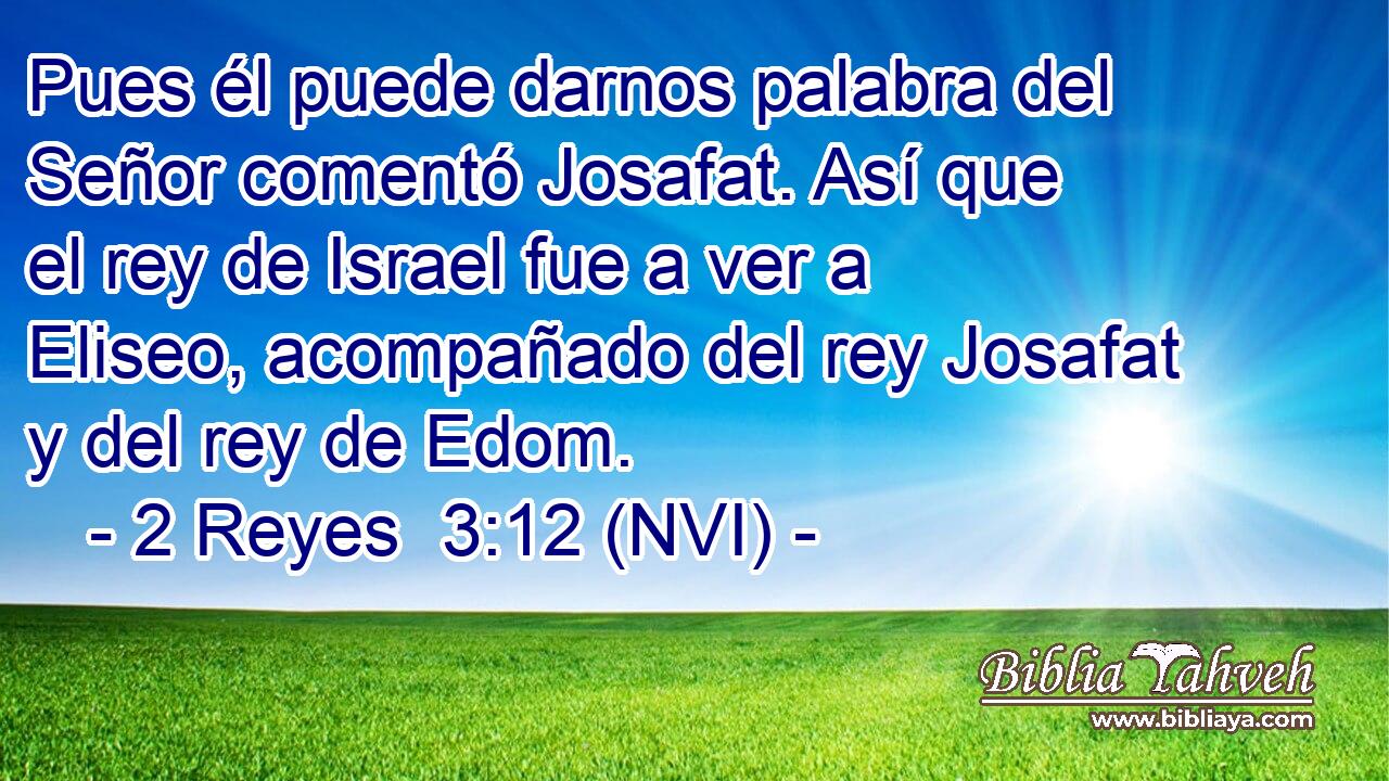  Pues él puede darnos palabra del Señor comentó Josafat. Así que el rey de Israel fue a ver a Eliseo, acompañado del rey Josafat y del rey de Edom. 