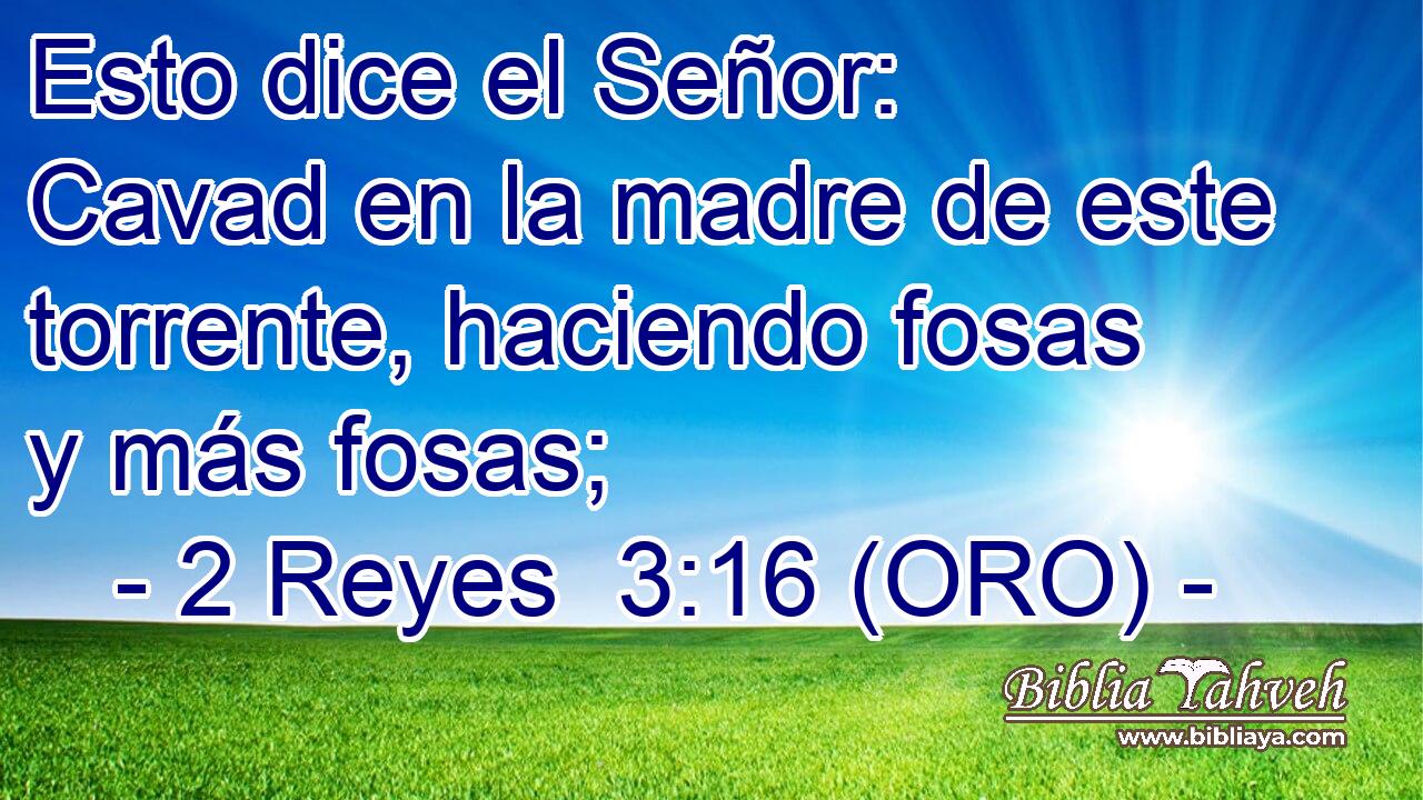  Esto dice el Señor: Cavad en la madre de este torrente, haciendo fosas y más fosas; 