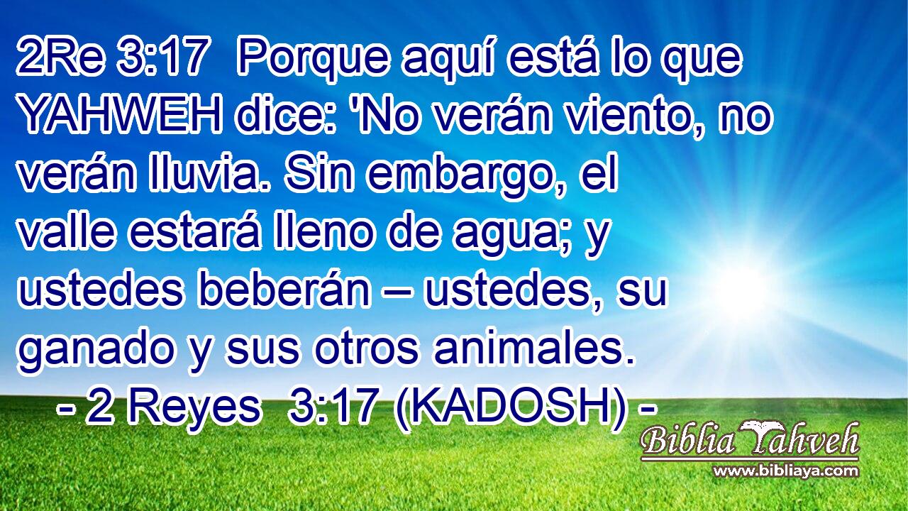  Porque aquí está lo que YAHWEH dice: 'No verán viento, no verán lluvia. Sin embargo, el valle estará lleno de agua; y ustedes beberán – ustedes, su ganado y sus otros animales. 