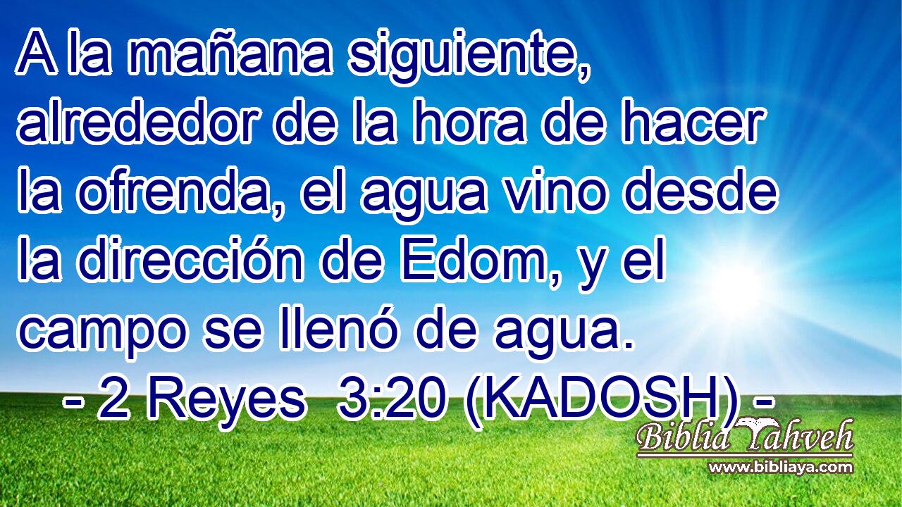  A la mañana siguiente, alrededor de la hora de hacer la ofrenda, el agua vino desde la dirección de Edom, y el campo se llenó de agua. 