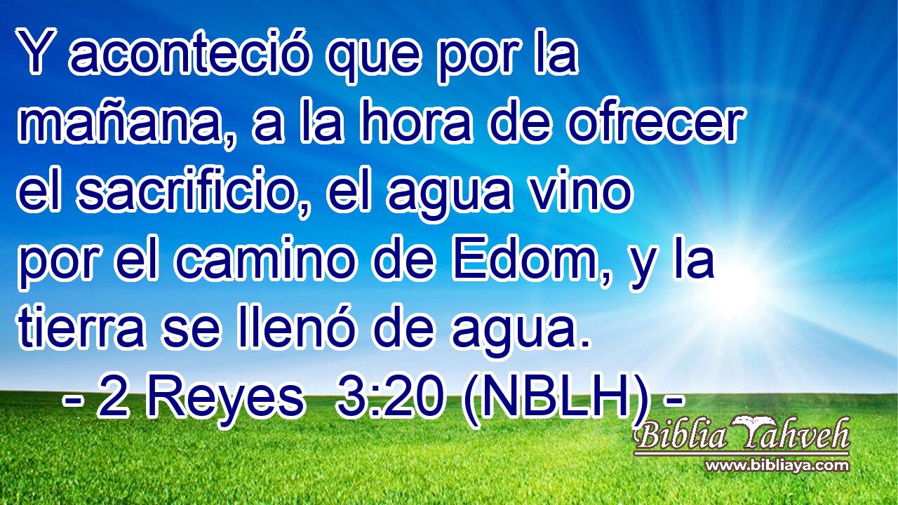  Y aconteció que por la mañana, a la hora de ofrecer el sacrificio, el agua vino por el camino de Edom, y la tierra se llenó de agua. 