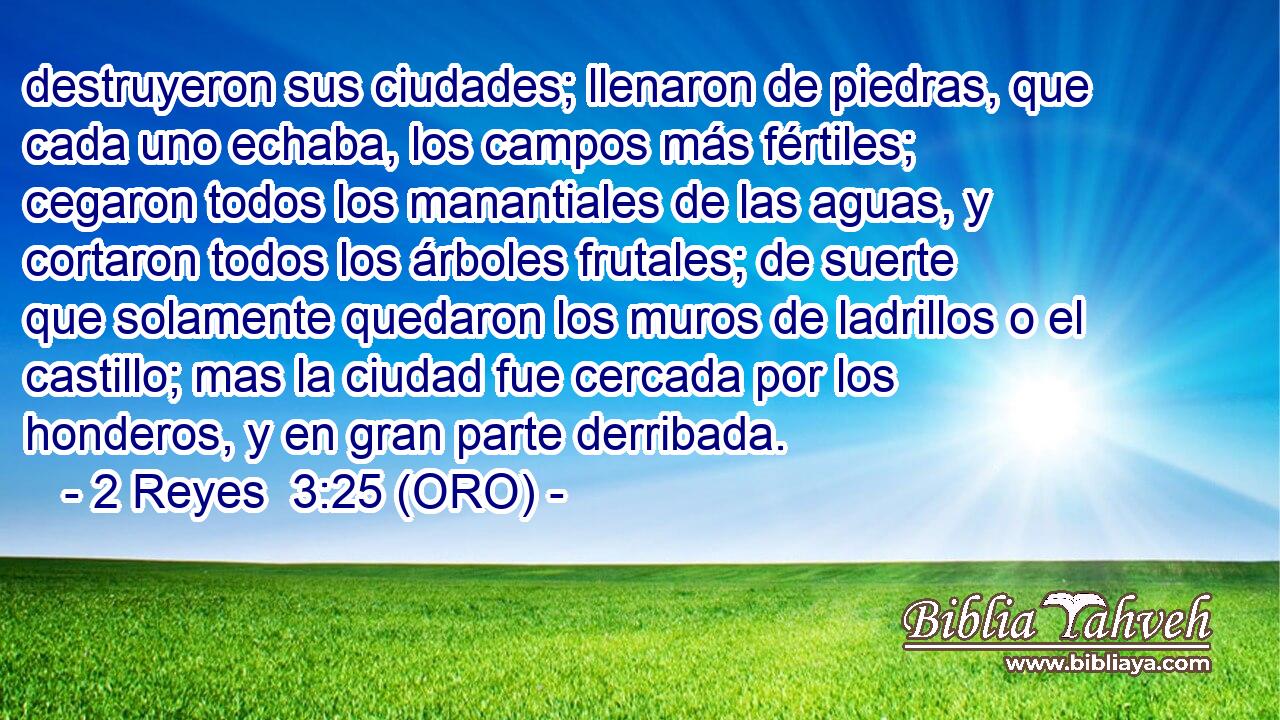  destruyeron sus ciudades; llenaron de piedras, que cada uno echaba, los campos más fértiles; cegaron todos los manantiales de las aguas, y cortaron todos los árboles frutales; de suerte que solamente quedaron los muros de ladrillos o el castillo; mas la ciudad fue cercada por los honderos, y en gran parte derribada. 