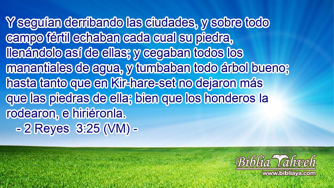  Y seguían derribando las ciudades, y sobre todo campo fértil echaban cada cual su piedra, llenándolo así de ellas; y cegaban todos los manantiales de agua, y tumbaban todo árbol bueno; hasta tanto que en Kir-hare-set no dejaron más que las piedras de ella; bien que los honderos la rodearon, e hiriéronla. 