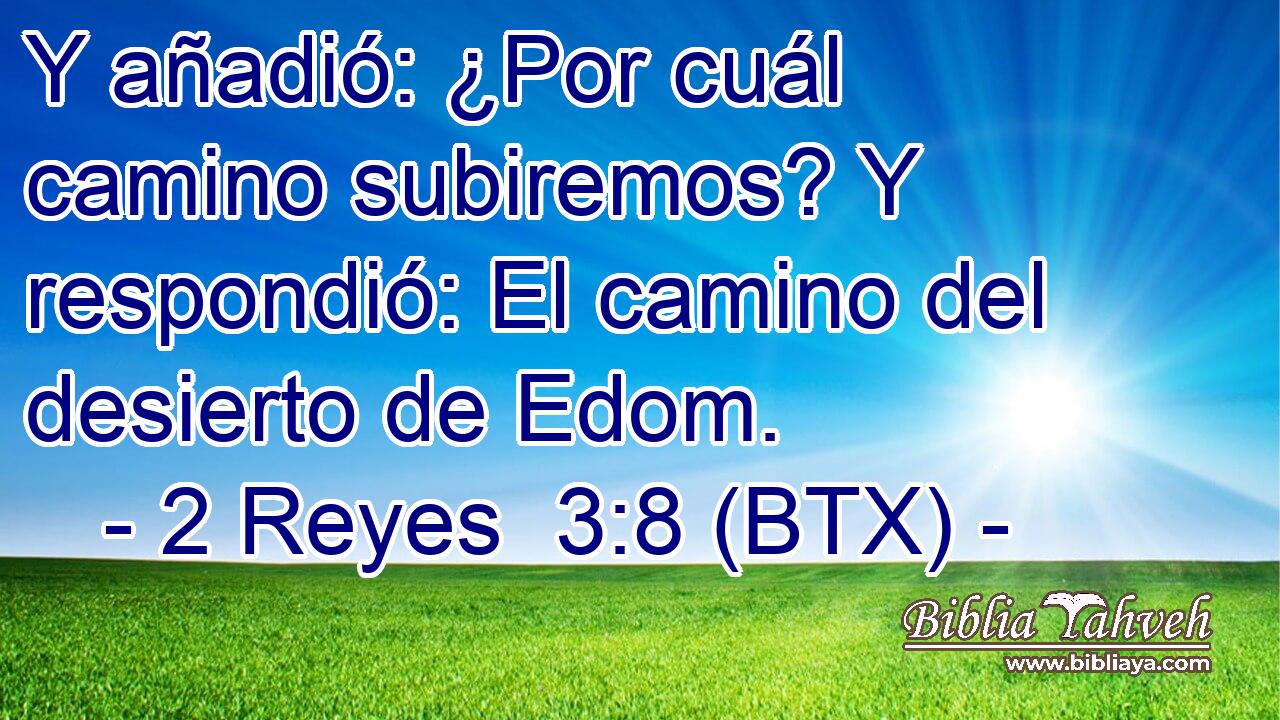 Y añadió: ¿Por cuál camino subiremos? Y respondió: El camino del desierto de Edom.
