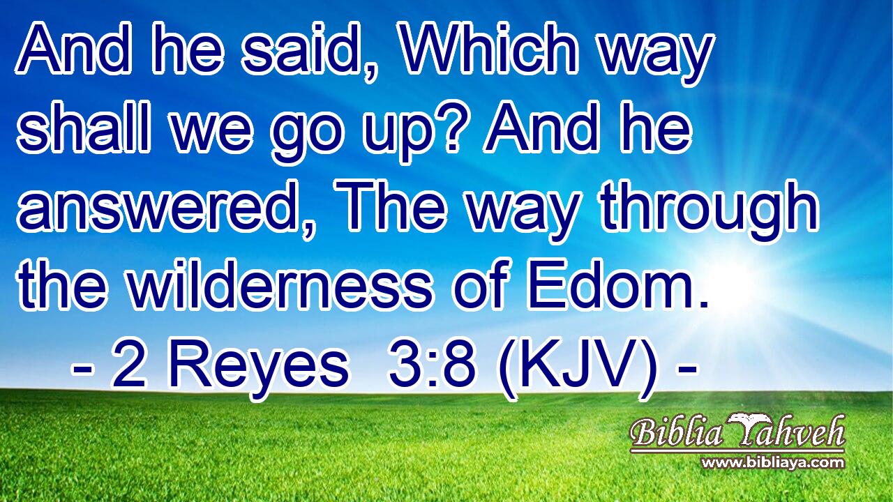 And he said, Which way shall we go up? And he answered, The way through the wilderness of Edom.