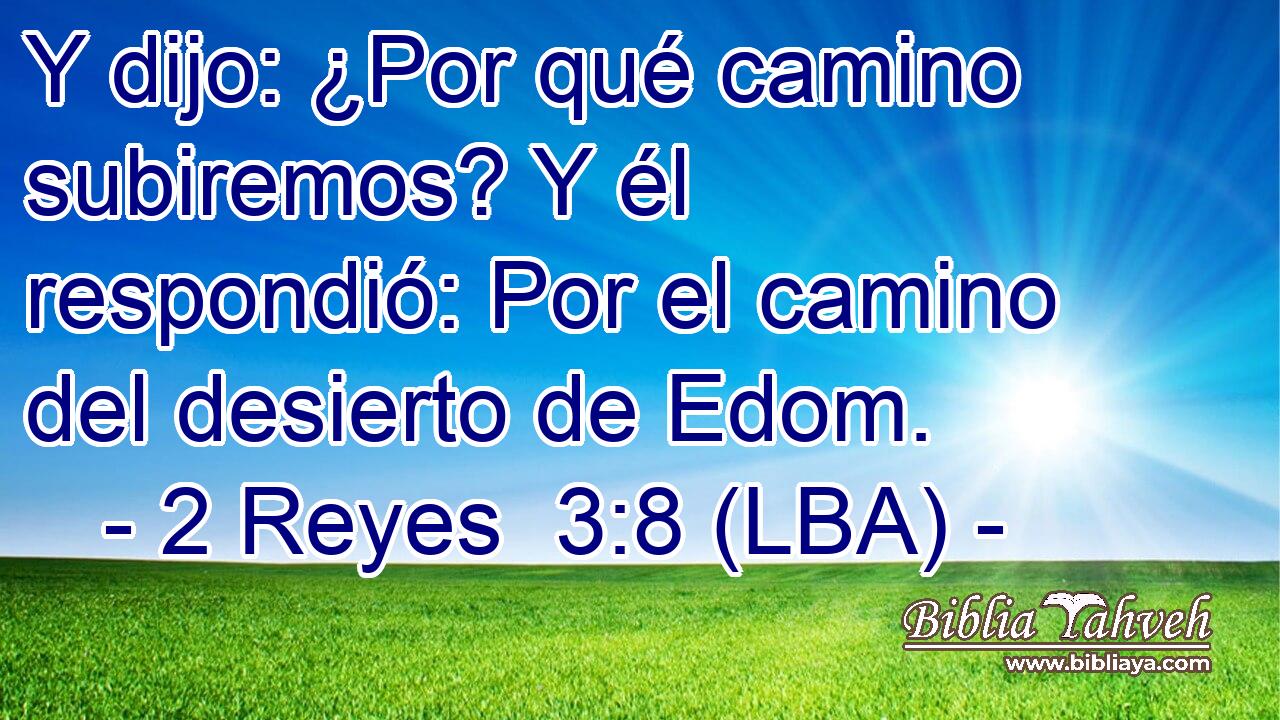 Y dijo: ¿Por qué camino subiremos? Y él respondió: Por el camino del desierto de Edom.