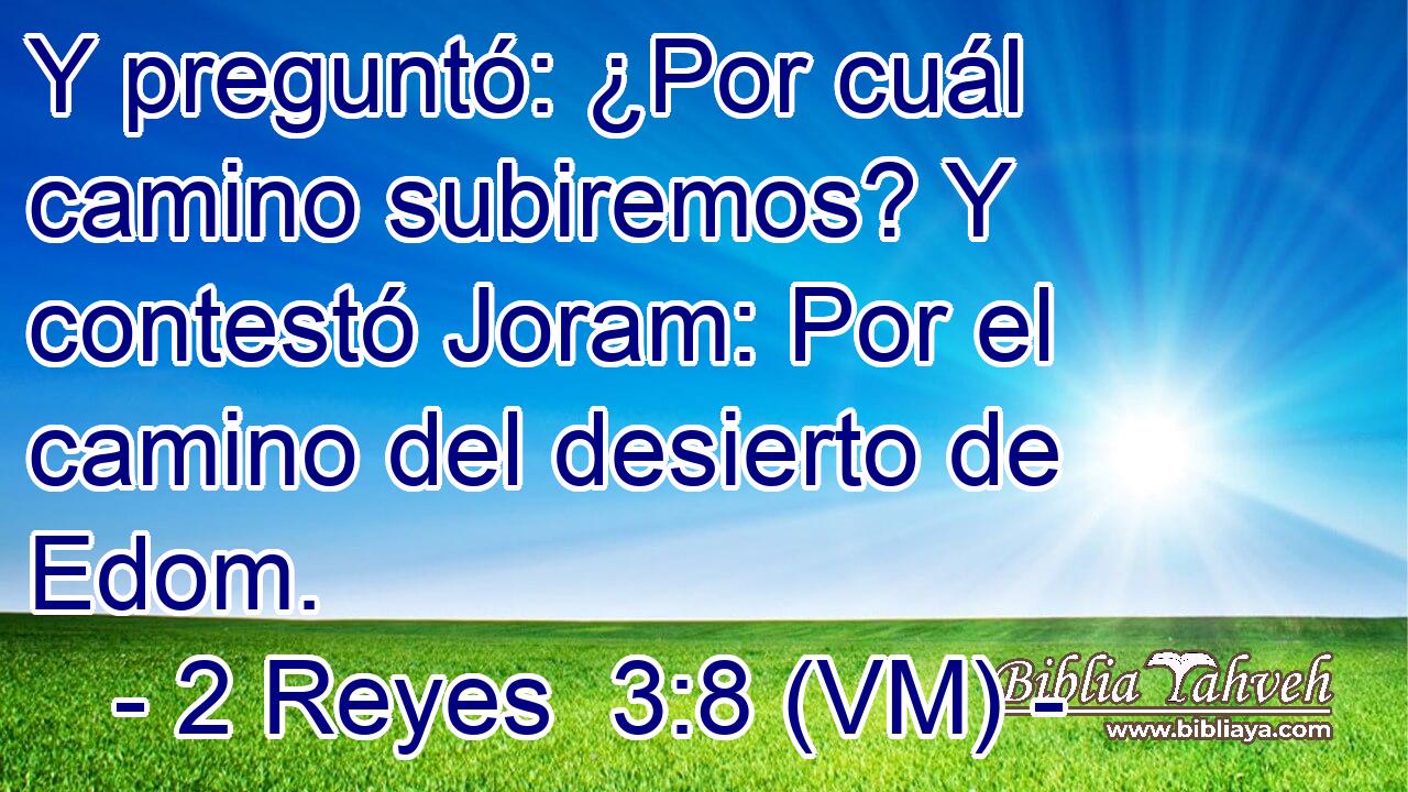 Y preguntó: ¿Por cuál camino subiremos? Y contestó Joram: Por el camino del desierto de Edom. 