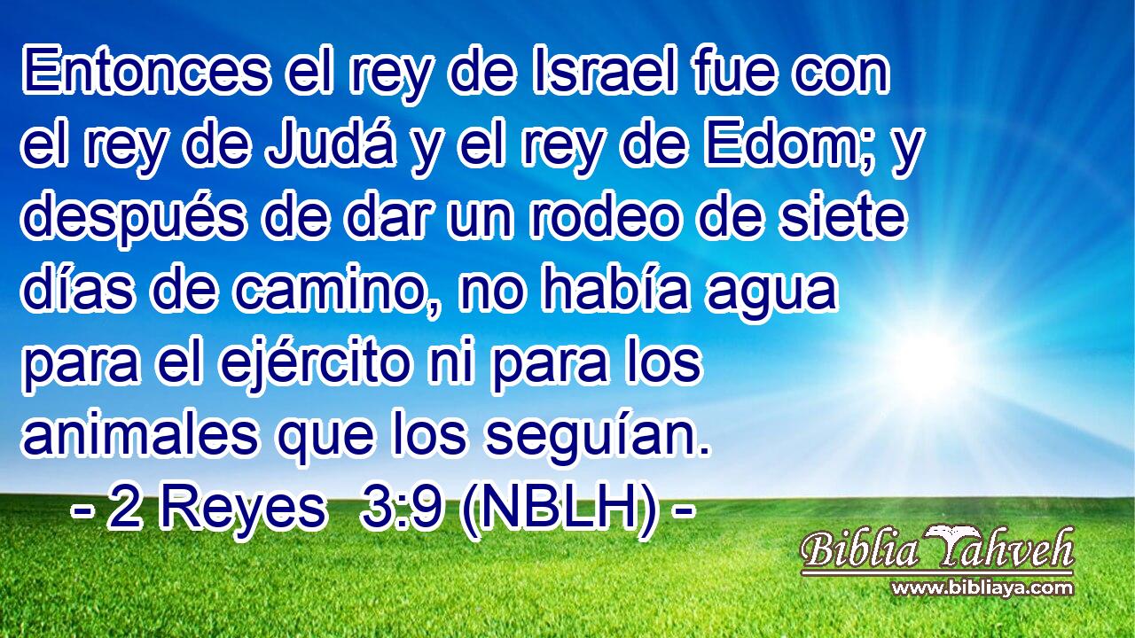 Entonces el rey de Israel fue con el rey de Judá y el rey de Edom; y después de dar un rodeo de siete días de camino, no había agua para el ejército ni para los animales que los seguían. 