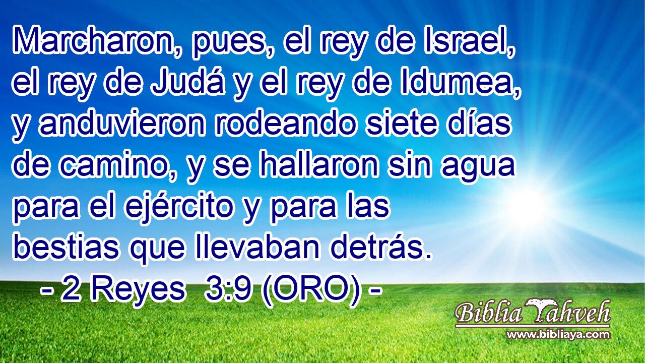  Marcharon, pues, el rey de Israel, el rey de Judá y el rey de Idumea, y anduvieron rodeando siete días de camino, y se hallaron sin agua para el ejército y para las bestias que llevaban detrás. 