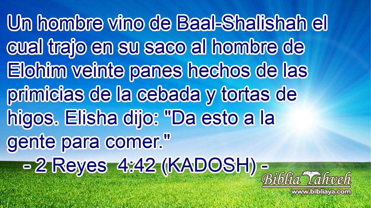  Un hombre vino de Baal-Shalishah el cual trajo en su saco al hombre de Elohim veinte panes hechos de las primicias de la cebada y tortas de higos. Elisha dijo: 