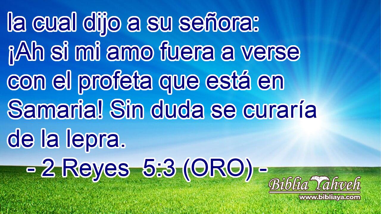  la cual dijo a su señora: ¡Ah si mi amo fuera a verse con el profeta que está en Samaria! Sin duda se curaría de la lepra. 