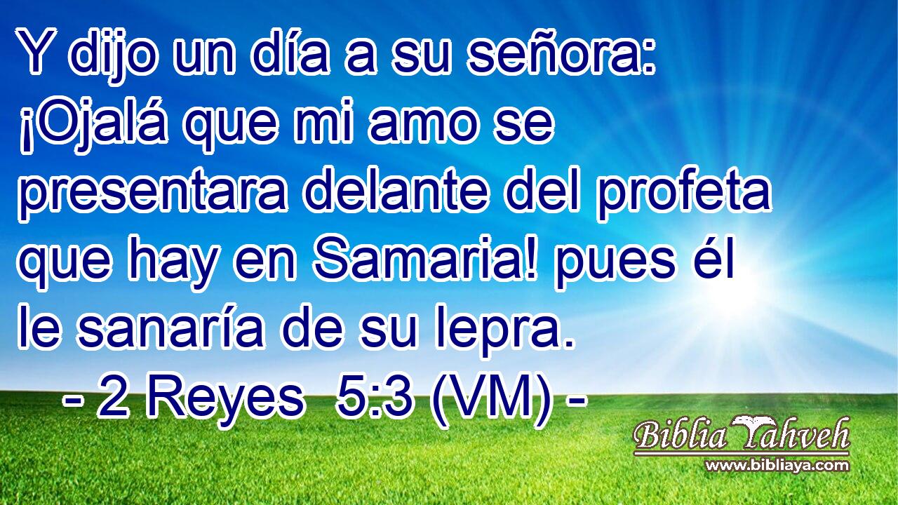  Y dijo un día a su señora: ¡Ojalá que mi amo se presentara delante del profeta que hay en Samaria! pues él le sanaría de su lepra. 