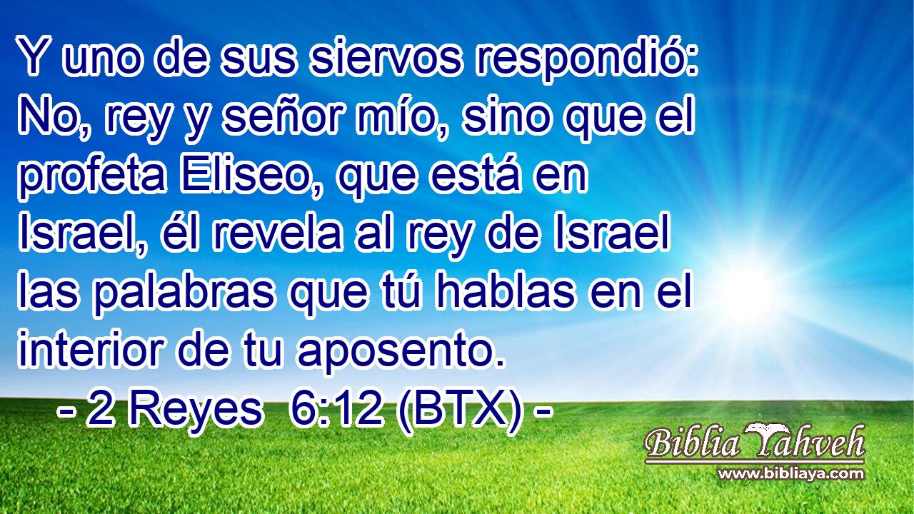 Y uno de sus siervos respondió: No, rey y señor mío, sino que el profeta Eliseo, que está en Israel, él revela al rey de Israel las palabras que tú hablas en el interior de tu aposento.