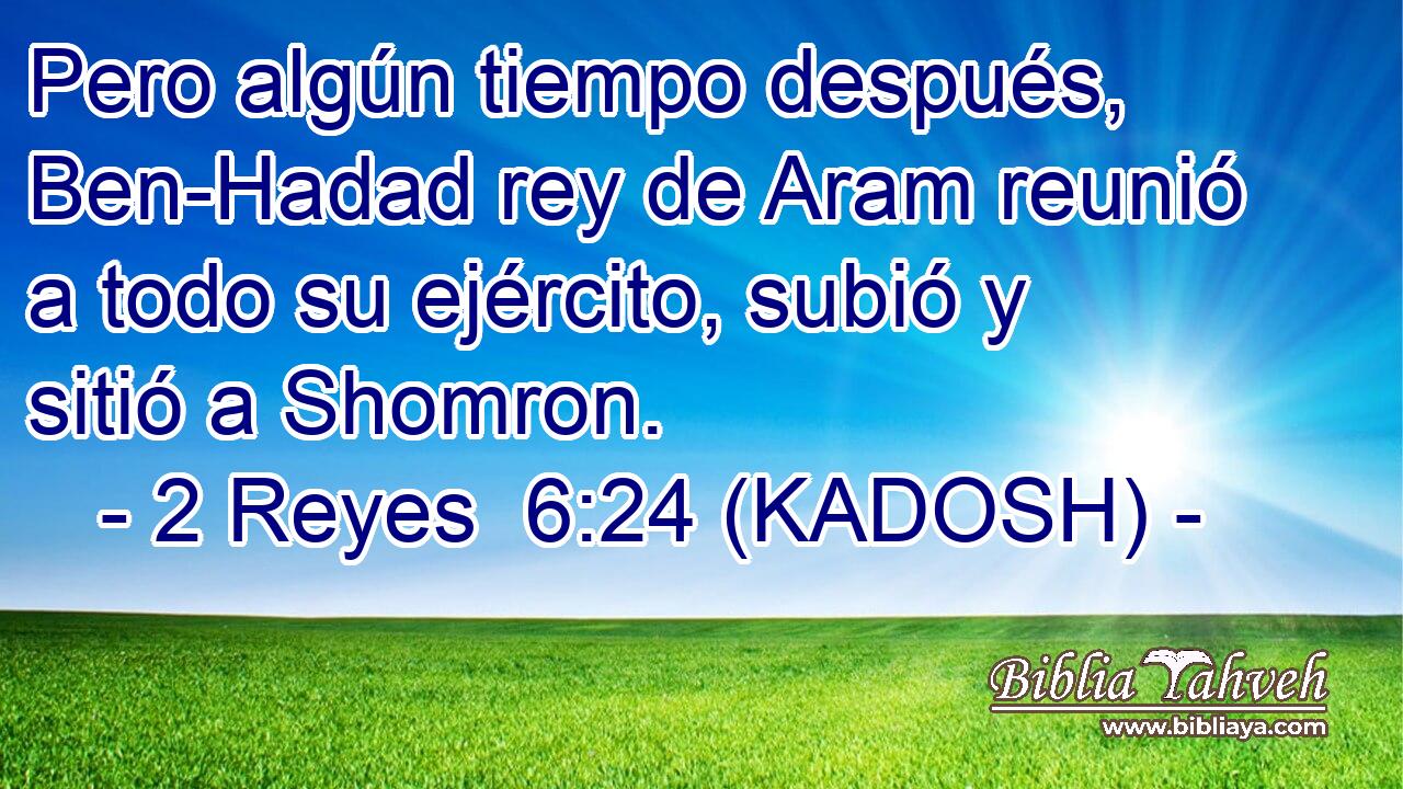  Pero algún tiempo después, Ben-Hadad rey de Aram reunió a todo su ejército, subió y sitió a Shomron. 
