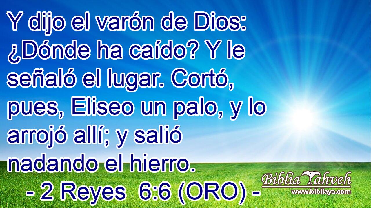  Y dijo el varón de Dios: ¿Dónde ha caído? Y le señaló el lugar. Cortó, pues, Eliseo un palo, y lo arrojó allí; y salió nadando el hierro. 