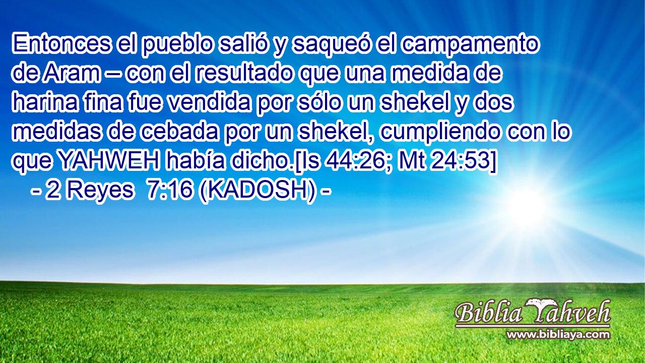  Entonces el pueblo salió y saqueó el campamento de Aram – con el resultado que una medida de harina fina fue vendida por sólo un shekel y dos medidas de cebada por un shekel, cumpliendo con lo que YAHWEH había dicho.[Is 44:26; Mt 24:53] 