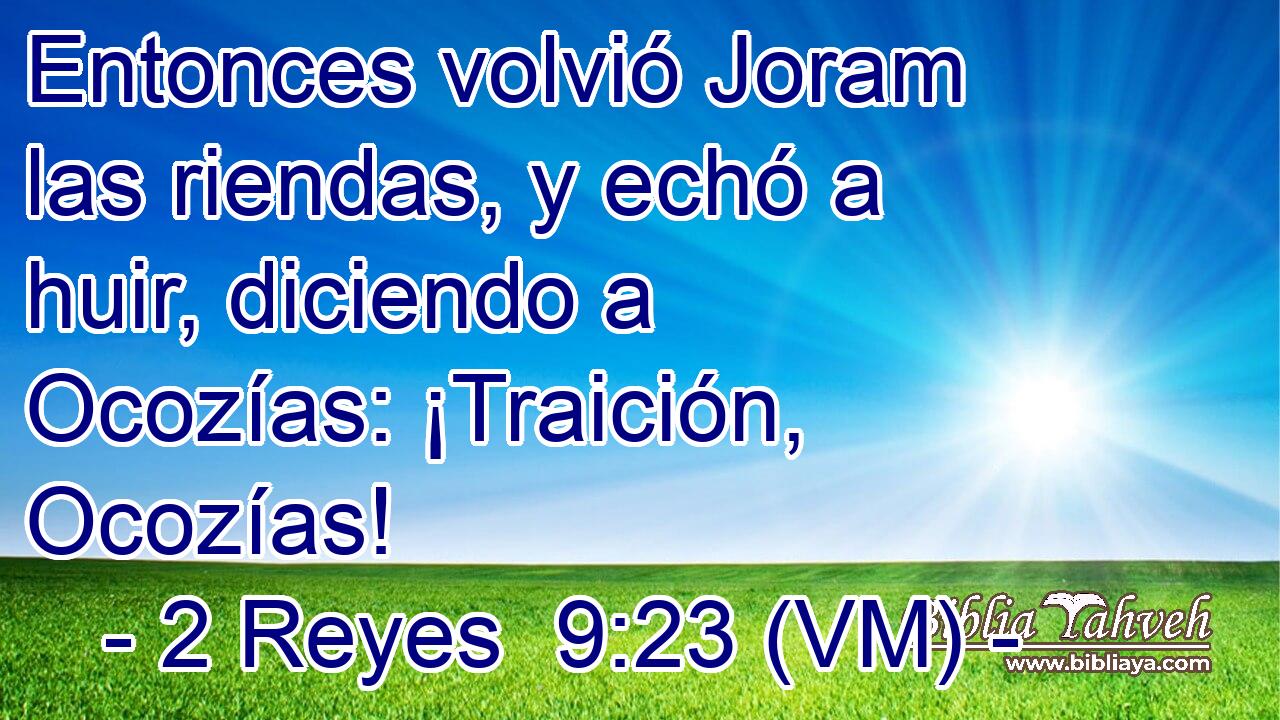  Entonces volvió Joram  las riendas, y echó a huir, diciendo a Ocozías: ¡Traición, Ocozías! 