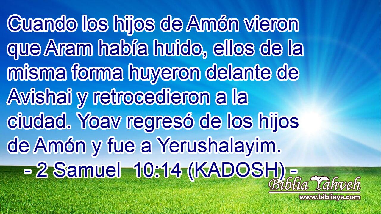  Cuando los hijos de Amón vieron que Aram había huido, ellos de la misma forma huyeron delante de Avishai y retrocedieron a la ciudad. Yoav regresó de los hijos de Amón y fue a Yerushalayim. 