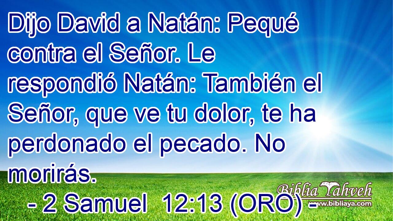  Dijo David a Natán: Pequé contra el Señor. Le respondió Natán: También el Señor, que ve tu dolor, te ha perdonado el pecado. No morirás. 