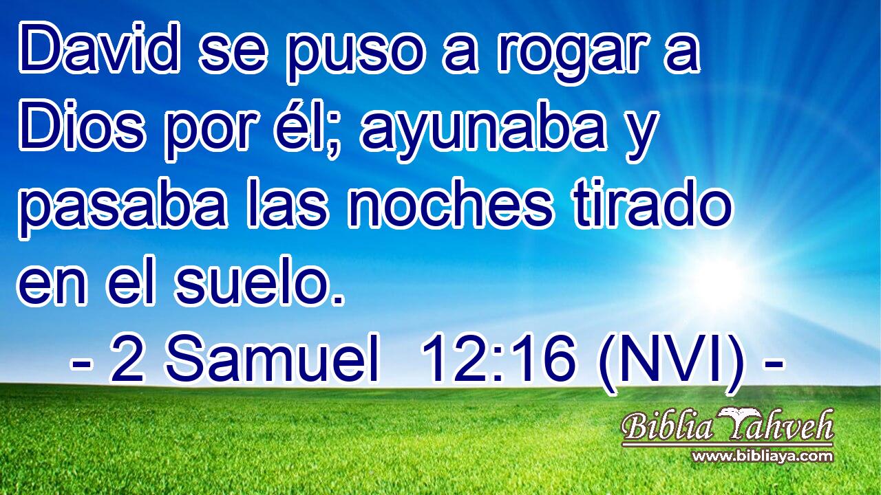  David se puso a rogar a Dios por él; ayunaba y pasaba las noches tirado en el suelo. 
