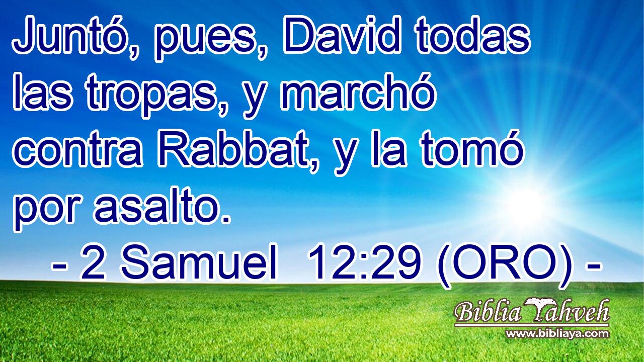 Juntó, pues, David todas las tropas, y marchó contra Rabbat, y la tomó por asalto. 