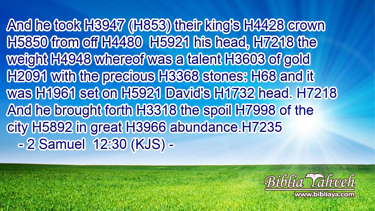 And he took H3947 (H853) their king's H4428 crown H5850 from off H4480  H5921 his head, H7218 the weight H4948 whereof was a talent H3603 of gold H2091 with the precious H3368 stones: H68 and it was H1961 set on H5921 David's H1732 head. H7218 And he brought forth H3318 the spoil H7998 of the city H5892 in great H3966 abundance.H7235