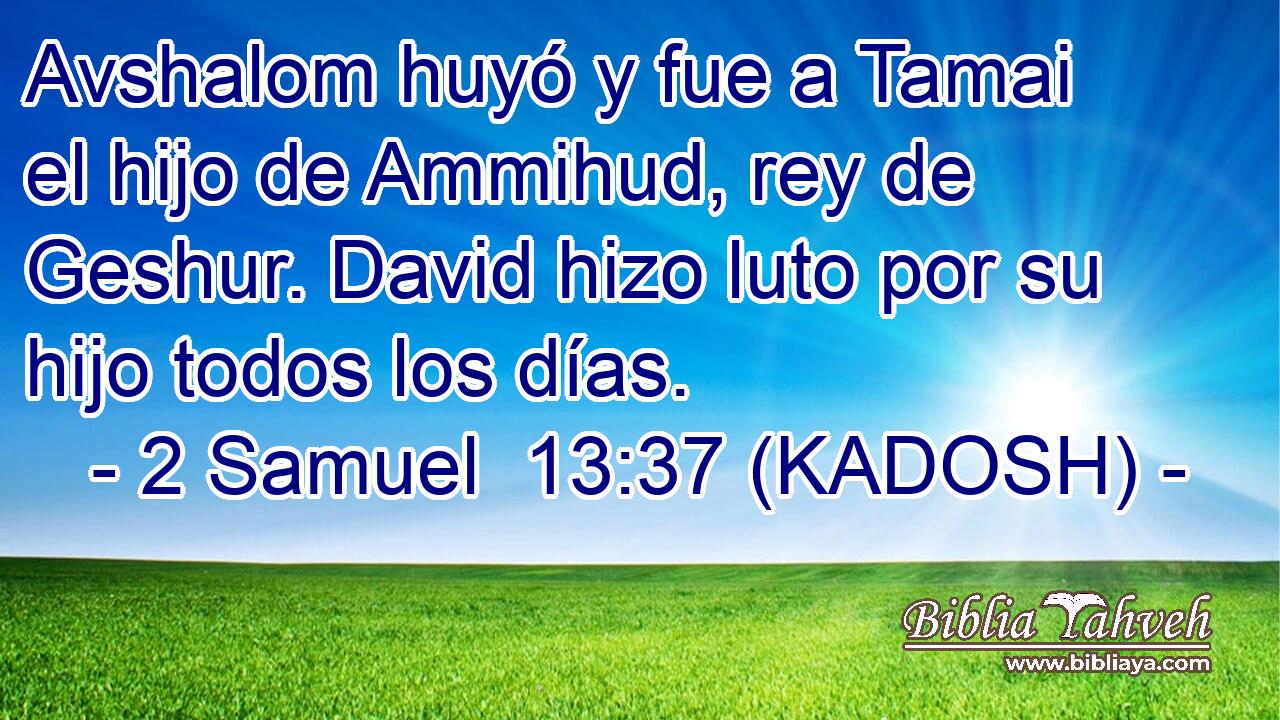  Avshalom huyó y fue a Tamai el hijo de Ammihud, rey de Geshur. David hizo luto por su hijo todos los días. 