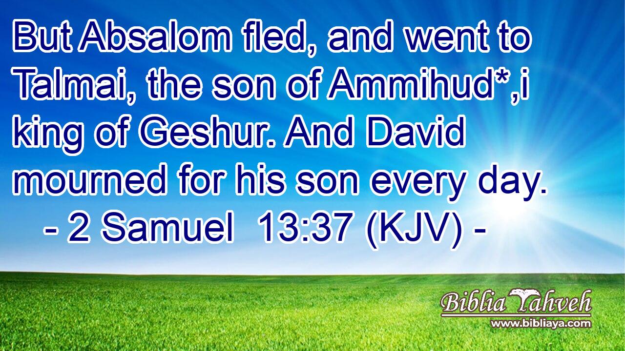But Absalom fled, and went to Talmai, the son of Ammihud*,i king of Geshur. And David mourned for his son every day.