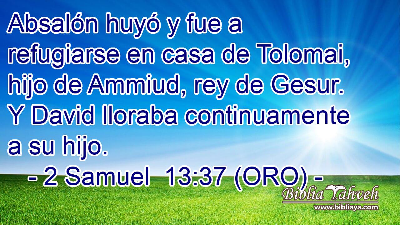  Absalón huyó y fue a refugiarse en casa de Tolomai, hijo de Ammiud, rey de Gesur. Y David lloraba continuamente a su hijo. 