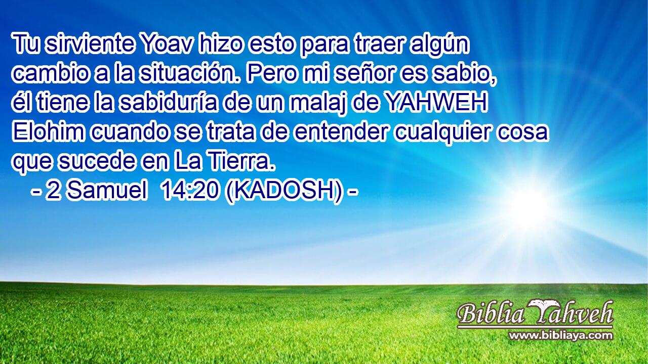  Tu sirviente Yoav hizo esto para traer algún cambio a la situación. Pero mi señor es sabio, él tiene la sabiduría de un malaj de YAHWEH Elohim cuando se trata de entender cualquier cosa que sucede en La Tierra. 