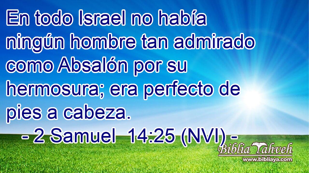  En todo Israel no había ningún hombre tan admirado como Absalón por su hermosura; era perfecto de pies a cabeza. 