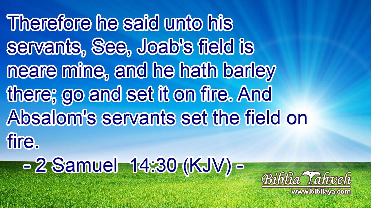 Therefore he said unto his servants, See, Joab's field is neare mine, and he hath barley there; go and set it on fire. And Absalom's servants set the field on fire.