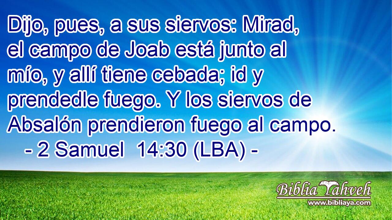 Dijo, pues, a sus siervos: Mirad, el campo de Joab está junto al mío, y allí tiene cebada; id y prendedle fuego. Y los siervos de Absalón prendieron fuego al campo.