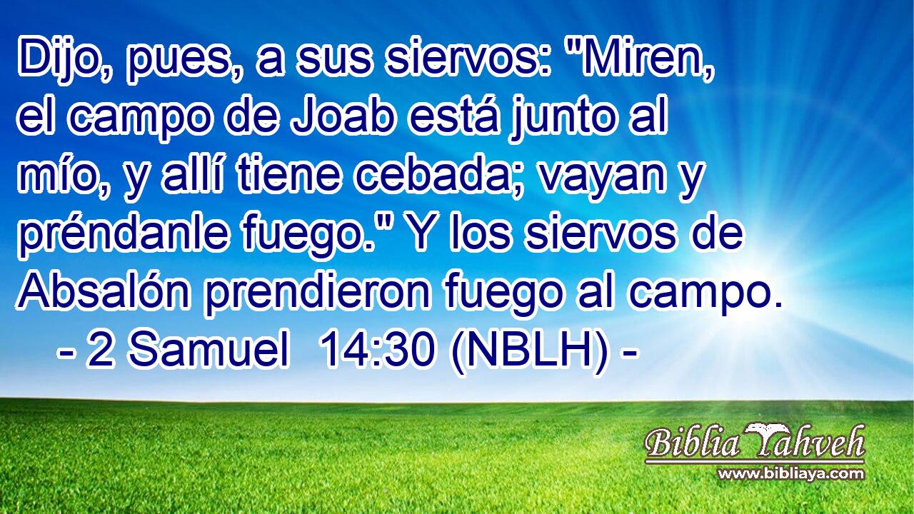  Dijo, pues, a sus siervos: 