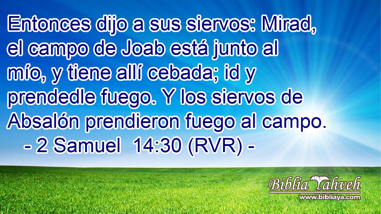 Entonces dijo a sus siervos: Mirad, el campo de Joab está junto al mío, y tiene allí cebada; id y prendedle fuego. Y los siervos de Absalón prendieron fuego al campo.