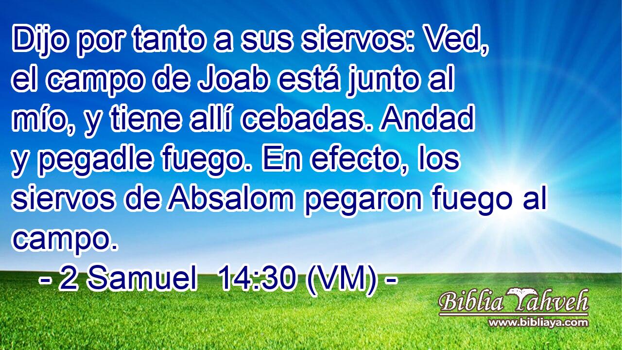  Dijo por tanto a sus siervos: Ved, el campo de Joab está junto al mío, y tiene allí cebadas. Andad y pegadle fuego. En efecto, los siervos de Absalom pegaron fuego al campo. 