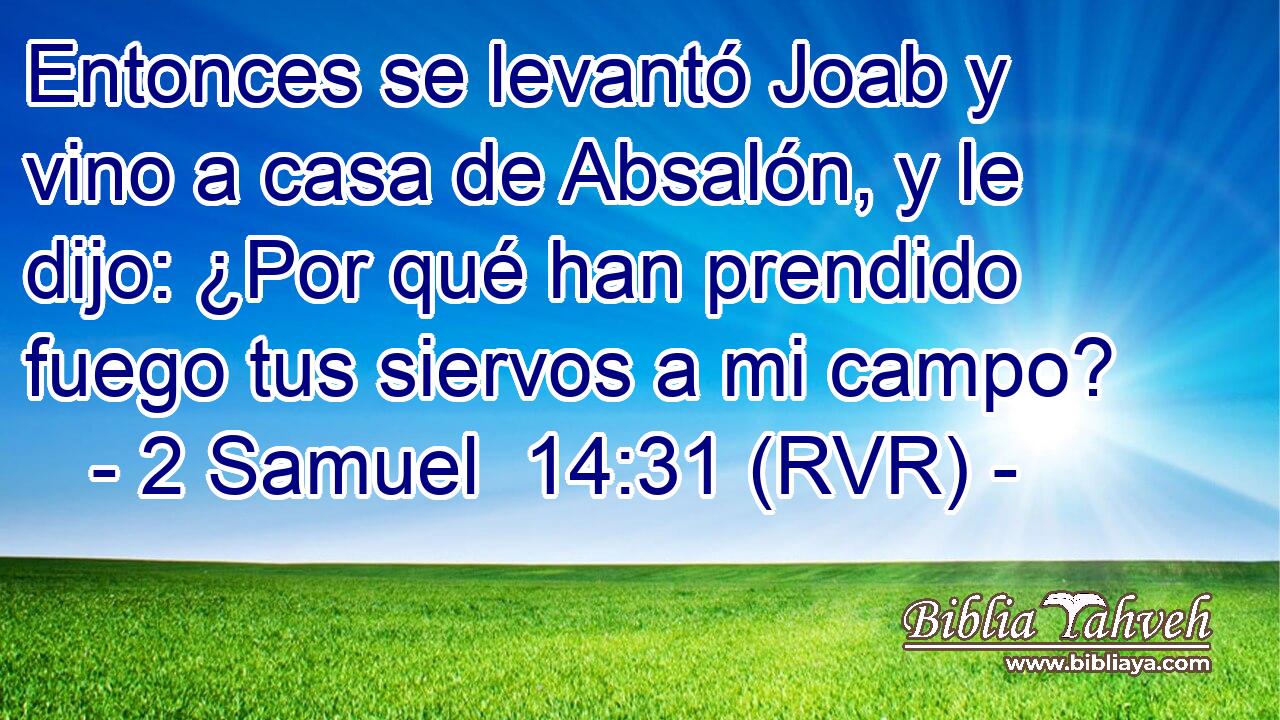 Entonces se levantó Joab y vino a casa de Absalón, y le dijo: ¿Por qué han prendido fuego tus siervos a mi campo?