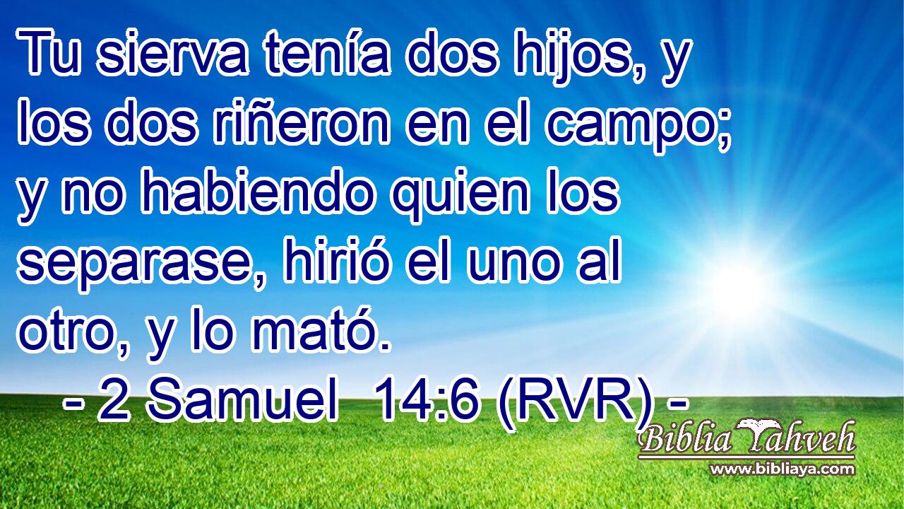 Tu sierva tenía dos hijos, y los dos riñeron en el campo; y no habiendo quien los separase, hirió el uno al otro, y lo mató.