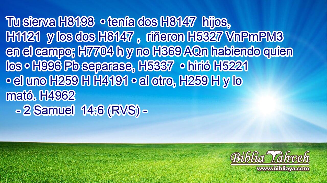 Tu sierva H8198  • tenía dos H8147  hijos, H1121  y los dos H8147 ,  riñeron H5327 VnPmPM3 en el campo; H7704 h y no H369 AQn habiendo quien los • H996 Pb separase, H5337  • hirió H5221  • el uno H259 H H4191 • al otro, H259 H y lo mató. H4962  