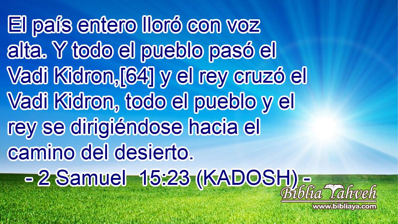  El país entero lloró con voz alta. Y todo el pueblo pasó el Vadi Kidron,[64] y el rey cruzó el Vadi Kidron, todo el pueblo y el rey se dirigiéndose hacia el camino del desierto. 