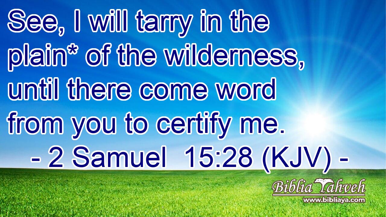 See, I will tarry in the plain* of the wilderness, until there come word from you to certify me.