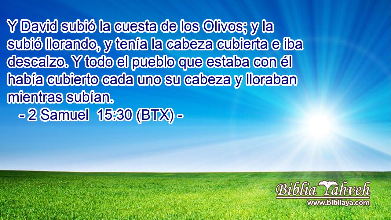 Y David subió la cuesta de los Olivos; y la subió llorando, y tenía la cabeza cubierta e iba descalzo. Y todo el pueblo que estaba con él había cubierto cada uno su cabeza y lloraban mientras subían.