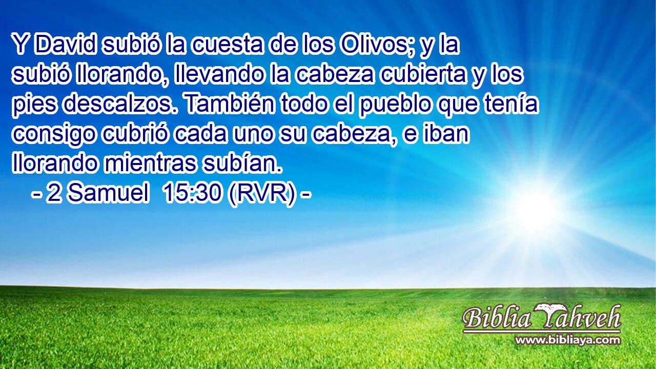 Y David subió la cuesta de los Olivos; y la subió llorando, llevando la cabeza cubierta y los pies descalzos. También todo el pueblo que tenía consigo cubrió cada uno su cabeza, e iban llorando mientras subían.