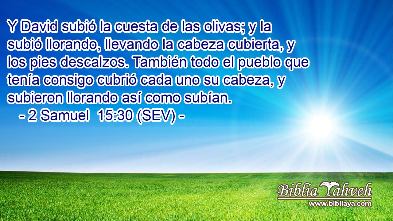 Y David subió la cuesta de las olivas; y la subió llorando, llevando la cabeza cubierta, y los pies descalzos. También todo el pueblo que tenía consigo cubrió cada uno su cabeza, y subieron llorando así como subían.