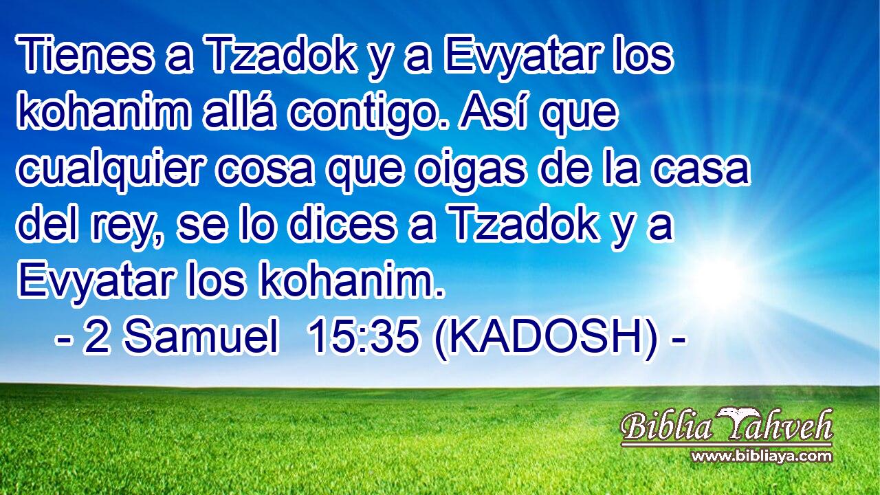  Tienes a Tzadok y a Evyatar los kohanim allá contigo. Así que cualquier cosa que oigas de la casa del rey, se lo dices a Tzadok y a Evyatar los kohanim. 