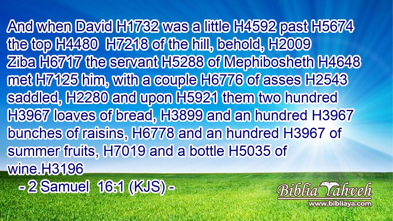 And when David H1732 was a little H4592 past H5674 the top H4480  H7218 of the hill, behold, H2009 Ziba H6717 the servant H5288 of Mephibosheth H4648 met H7125 him, with a couple H6776 of asses H2543 saddled, H2280 and upon H5921 them two hundred H3967 loaves of bread, H3899 and an hundred H3967 bunches of raisins, H6778 and an hundred H3967 of summer fruits, H7019 and a bottle H5035 of wine.H3196
