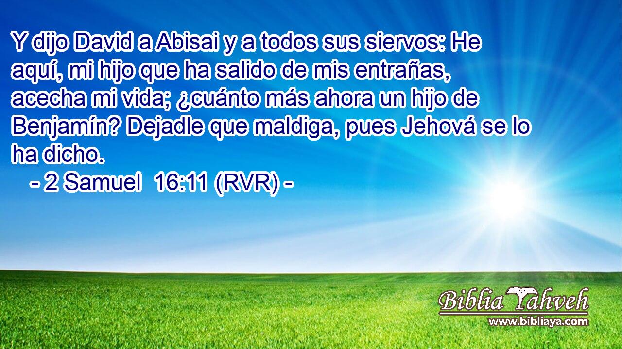 Y dijo David a Abisai y a todos sus siervos: He aquí, mi hijo que ha salido de mis entrañas, acecha mi vida; ¿cuánto más ahora un hijo de Benjamín? Dejadle que maldiga, pues Jehová se lo ha dicho.