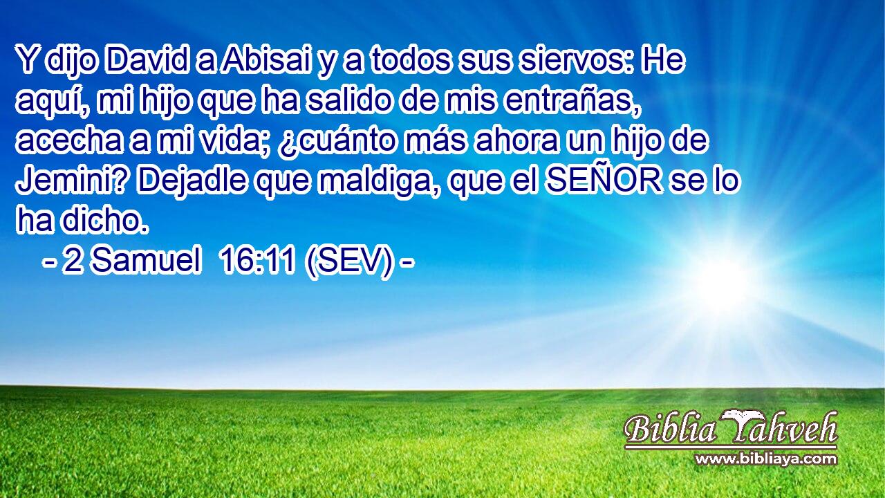 Y dijo David a Abisai y a todos sus siervos: He aquí, mi hijo que ha salido de mis entrañas, acecha a mi vida; ¿cuánto más ahora un hijo de Jemini? Dejadle que maldiga, que el SEÑOR se lo ha dicho.
