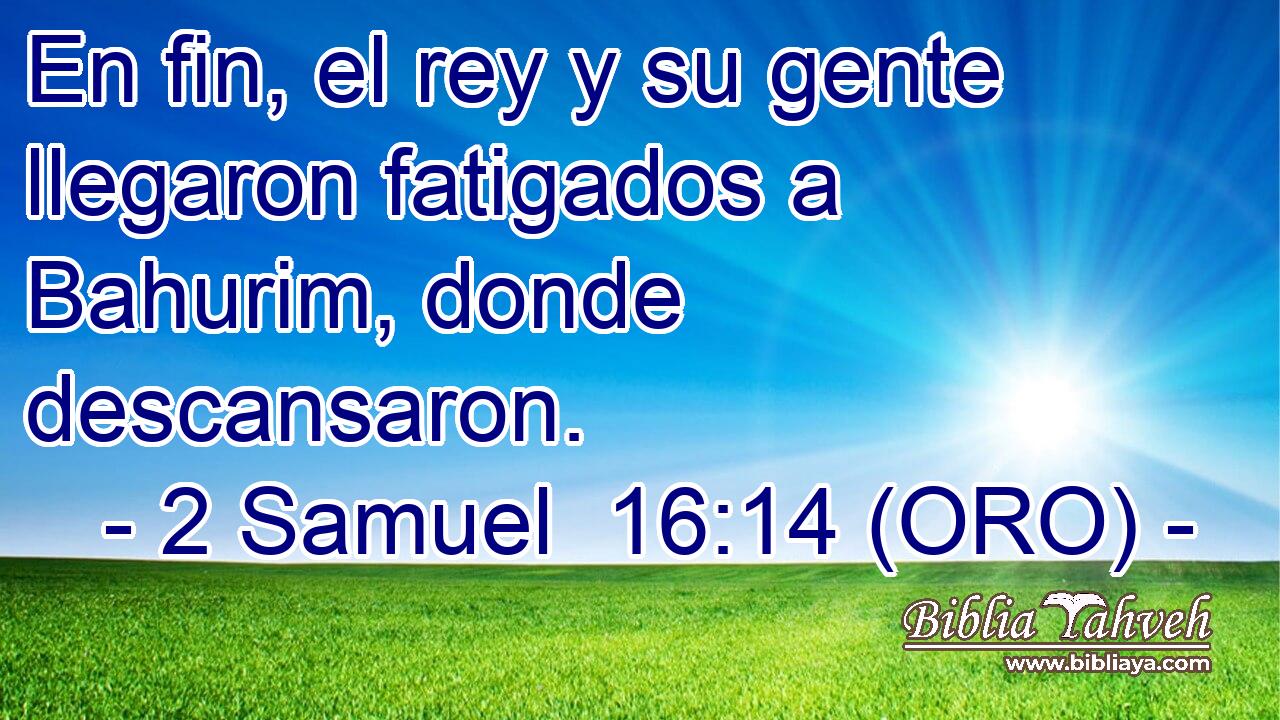  En fin, el rey y su gente llegaron fatigados a Bahurim, donde descansaron. 